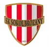 索科尔布洛赞尼